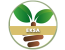 eksa